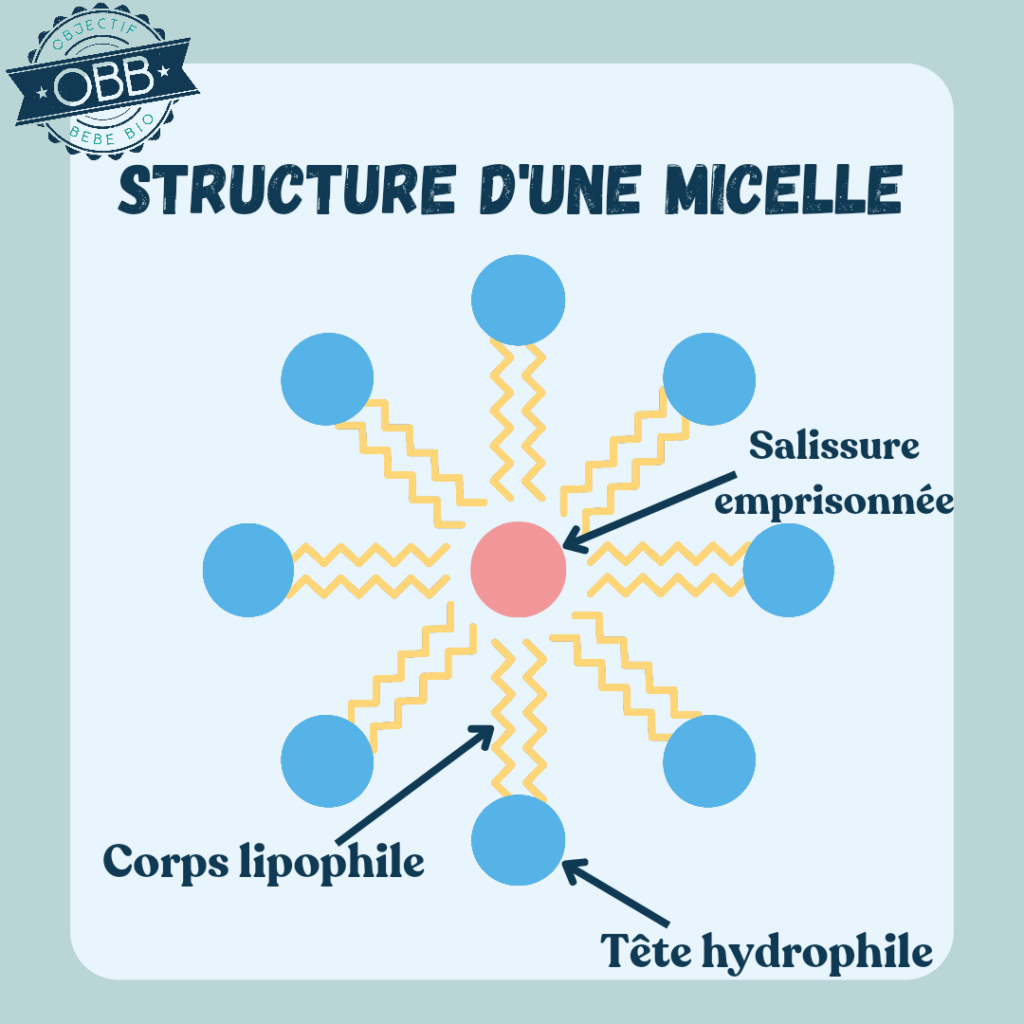 Structure d'une micelle
eau nettoyante comparatif